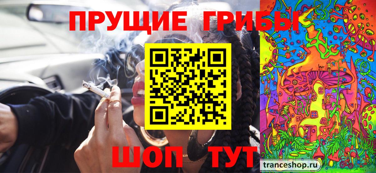 где купить наркоту  Псилоцибиновые грибы Psilocybe  Вход с VPN  Черняховск 